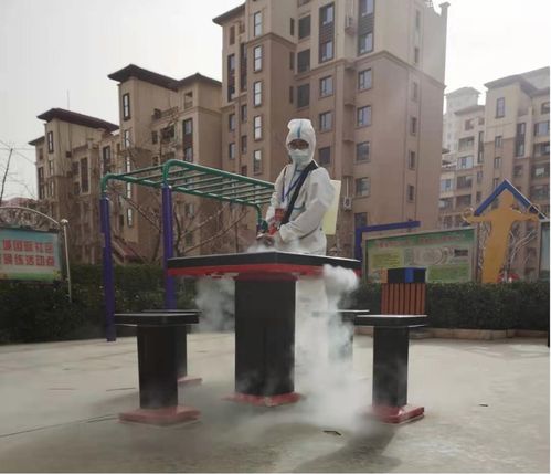 12.8噸蔬菜捐贈給石家莊20個小區(qū)